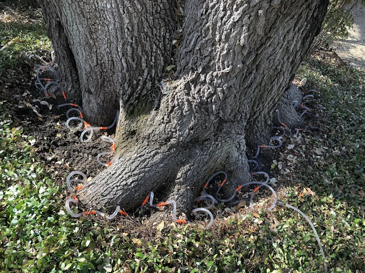 Detailed Shrub and Hedge Trimming job site in Turrell