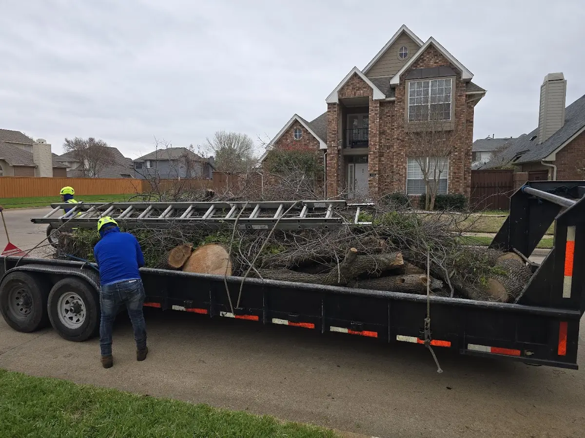 Expert Tree Fertilization with proper safety equipment in Turrell